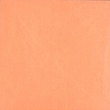 ���� �41